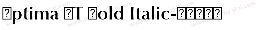 Optima LT Bold Italic字体转换